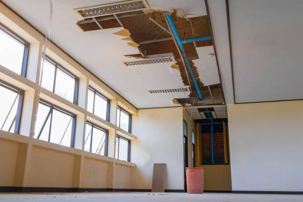 Best Flood damage cleanup  in Atlanta, IL