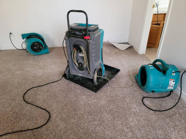 Best Water damage cleanup near me  in Atlanta, IL