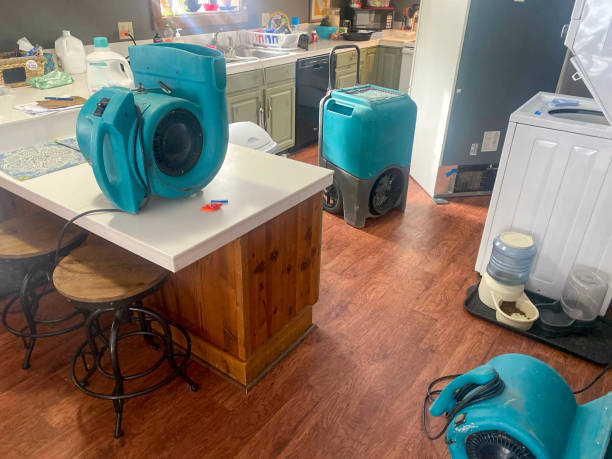 Best Flood damage cleanup  in Atlanta, IL