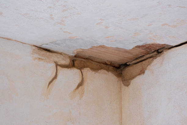 Best Water damage restoration near me  in Atlanta, IL