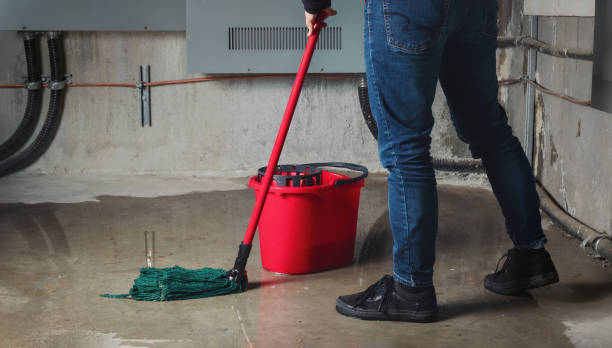 Best Professional water damage repair  in Atlanta, IL