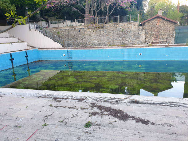 Best Flood restoration services  in Atlanta, IL