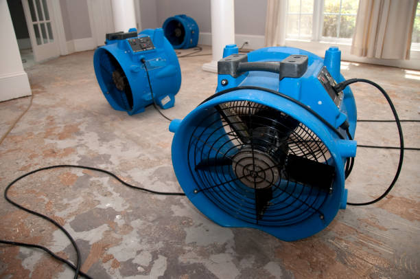 Best Fire Damage Restoration  in Atlanta, IL
