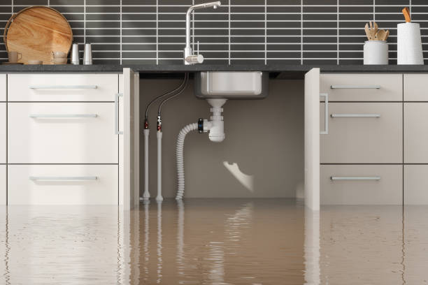 Best Water damage mitigation services  in Atlanta, IL