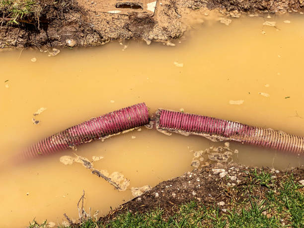 Best 24/7 water damage repair  in Atlanta, IL